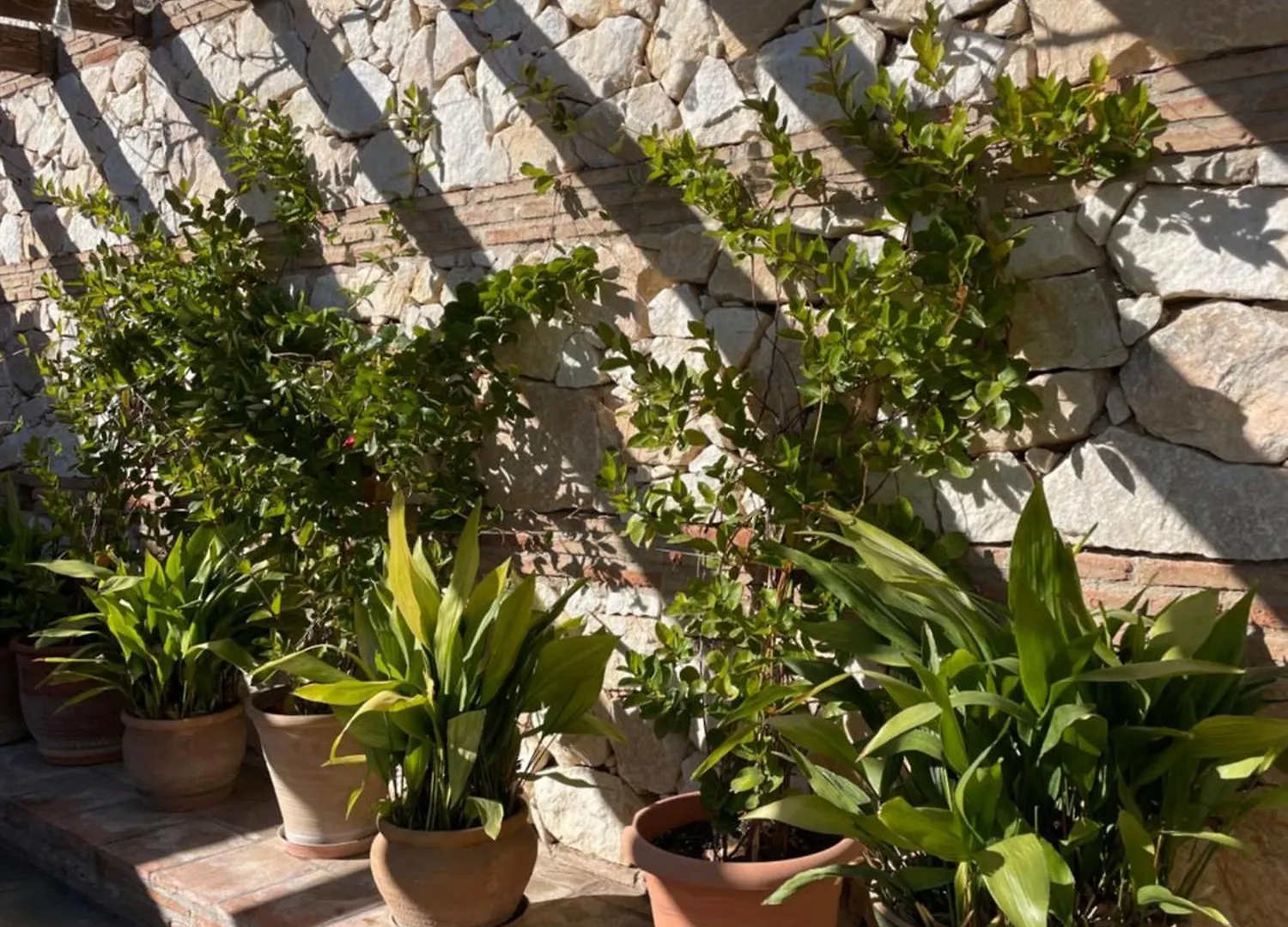 Luxury Villa Ana, Mijas 0*,